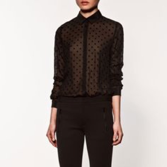 zara sheer polka dot blouse